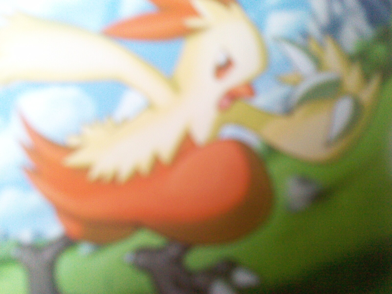 Pokemon bilder