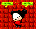 Pucca bilder