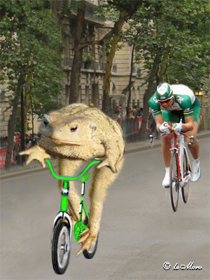Radfahren bilder