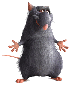 Ratatouille bilder