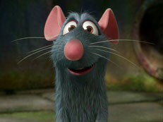 Ratatouille bilder