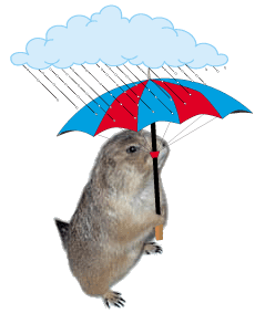 Regen bilder