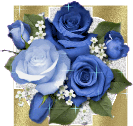 Rosen bilder