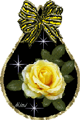Rosen bilder