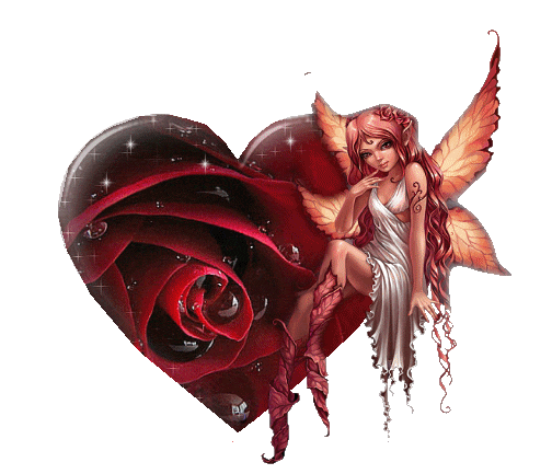 Rosen bilder