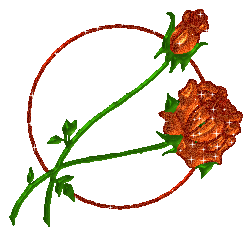Rosen bilder