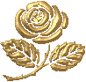 Rosen bilder