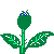 Rosen bilder
