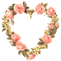 Rosen bilder