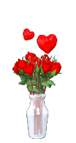 Rosen bilder