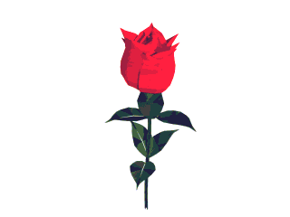 Rosen bilder