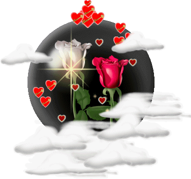 Rosen bilder