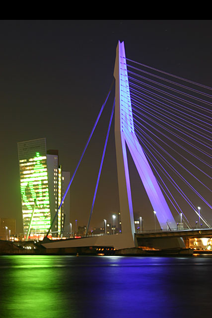 Rotterdam bilder