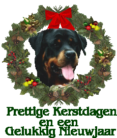 Rottweiler bilder