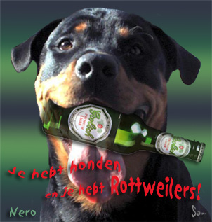 Rottweiler bilder