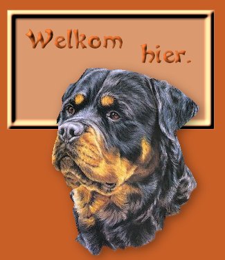 Rottweiler bilder