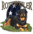 Rottweiler bilder