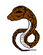 Schlangen bilder