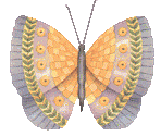 Schmetterling