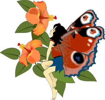 Schmetterling bilder