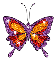 Schmetterling bilder