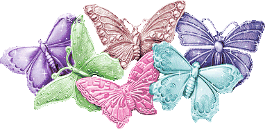 Schmetterling bilder