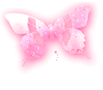 Schmetterling bilder