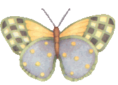 Schmetterling