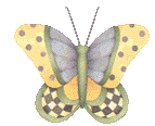 Schmetterling