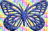 Schmetterling bilder