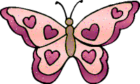 Schmetterling bilder