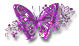 Schmetterling