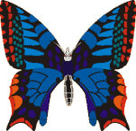 Schmetterling bilder