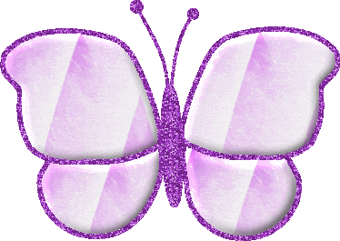 Schmetterling bilder