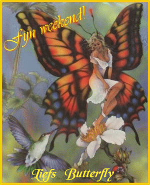 Schmetterling bilder