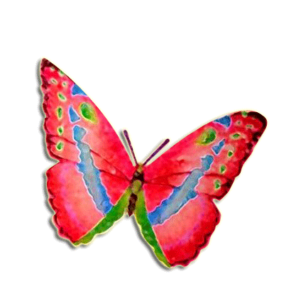 Schmetterling