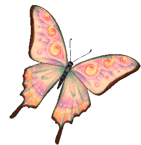 Schmetterling