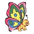 Schmetterling bilder