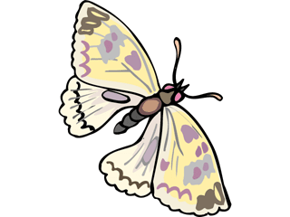 Schmetterling