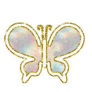 Schmetterling bilder