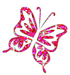 Schmetterling bilder