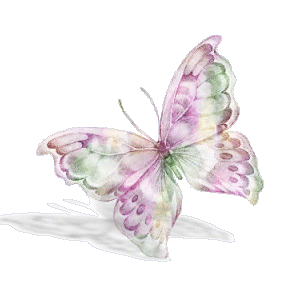 Schmetterling