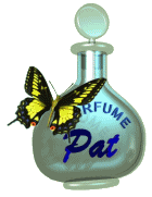 Schmetterling bilder