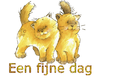 Schones bilder