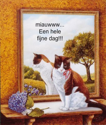 Schones bilder