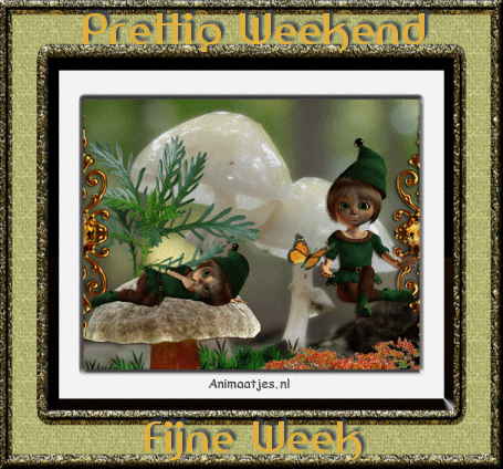 Schones bilder