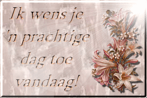 Schones bilder