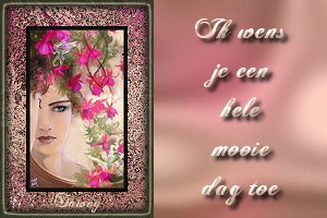 Schones bilder