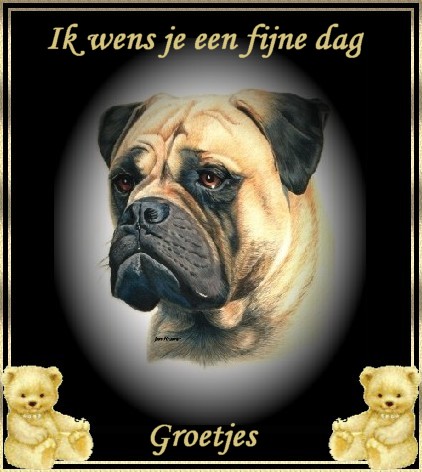 Schones bilder