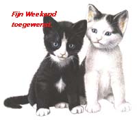 Schones bilder
